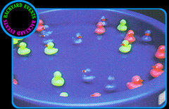 Duck Pond 19 $65.00 DISCOUNTED PRICE Duck Pond 19 $65.00 DISCOUNTED PRICE